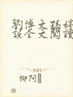 刘博文孙婷婷小说全文阅读笔趣阁封面