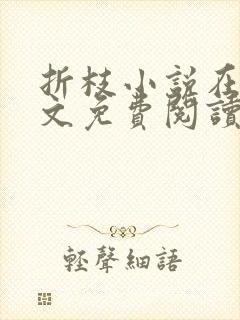 折枝小说在线全文免费阅读无弹窗