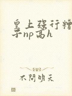 皇上强行糟蹋太子np高h