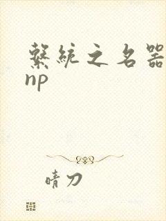 系统之名器攻略np