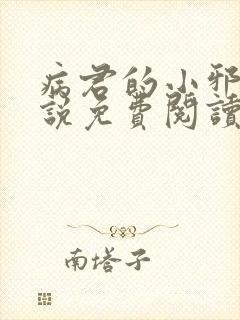 病君的小邪后小说免费阅读