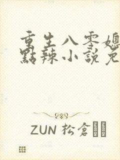 重生八零媳妇有点辣小说免费阅读封面