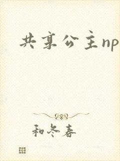 共享公主npc