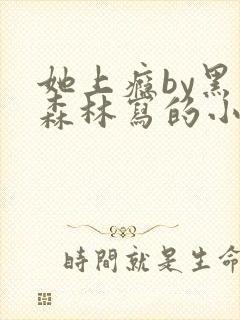 她上瘾by黑暗森林写的小说免费阅读无弹窗
