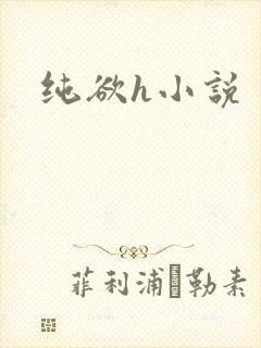 纯欲h小说