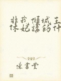 非我倾城王爷要休妃讲的什么封面