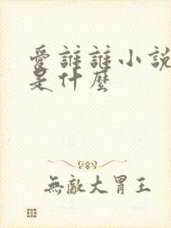 爱谁谁小说讲的是什么