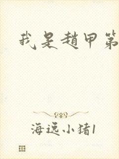 我是赵甲第小说封面