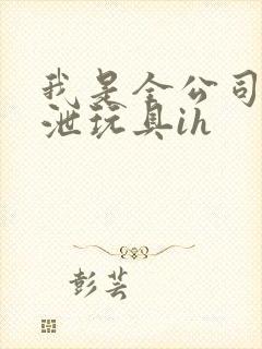 我是全公司的发泄玩具ih
