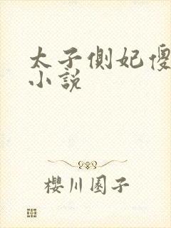 太子侧妃傻乎乎小说