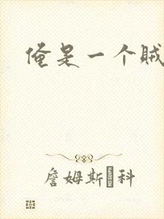 俺是一个贼