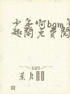 少年啊bgm笔趣阁免费阅读全文下载