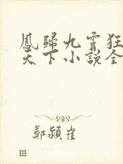 凤归九霄狂妃逆天下小说全文阅读封面
