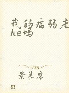 我的病弱老婆是he吗