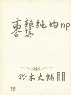 高辣纯肉np文合集