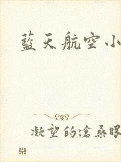 蓝天航空小说