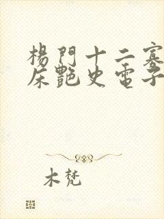 杨门十二寡妇肉床艳史电子书