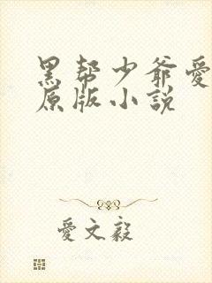 黑帮少爷爱上我原版小说