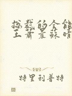总裁的全能型兵王萧晨苏晴
