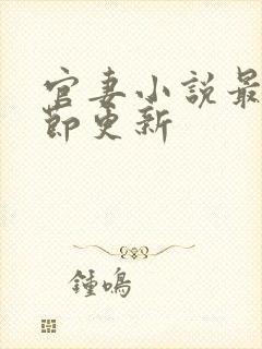 官妻小说最新章节更新