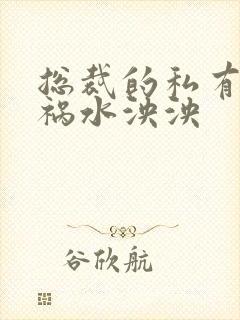 总裁的私有宝贝祸水泱泱