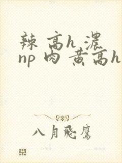 辣 高h 浓 np 肉 黄高h