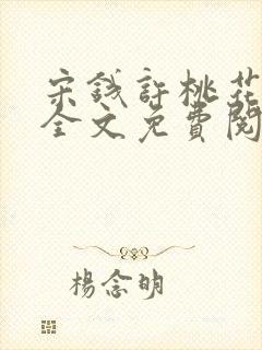 宋钱许桃花小说全文免费阅读