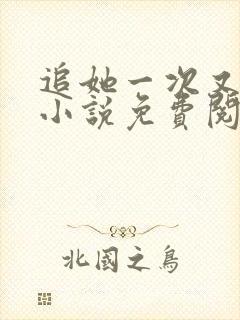 追她一次又一次小说免费阅读全文