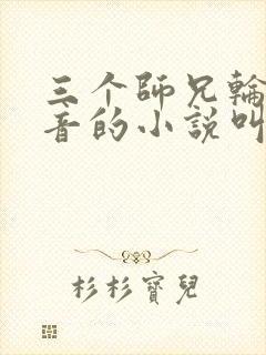 三个师兄轮流上音的小说叫什么