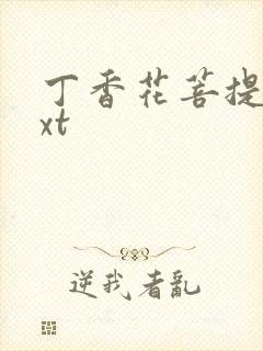 丁香花菩提树txt