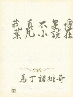 我真不是傻子了叶凡小说在线阅读