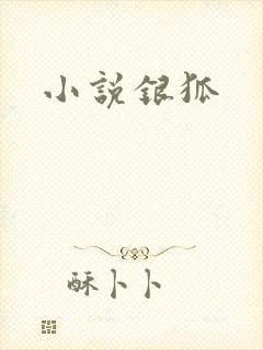 小说银狐