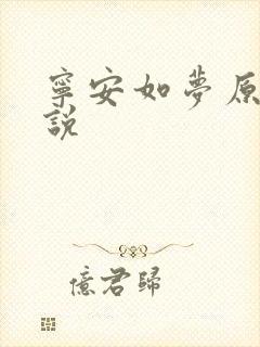宁安如梦原著小说