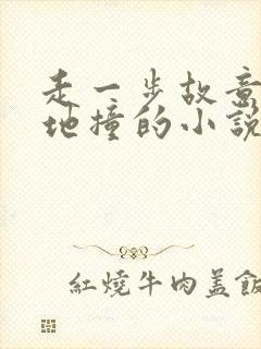 走一步故意深深地撞的小说封面