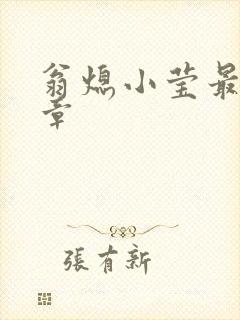 翁熄小莹最新节章