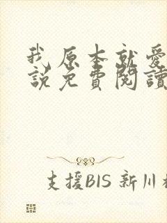 我原本就爱你小说免费阅读全文封面