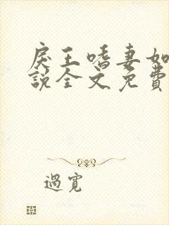 戾王嗜妻如命小说全文免费阅读