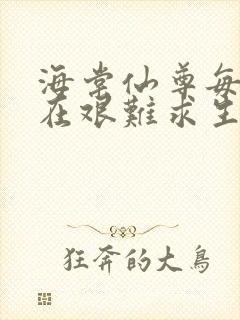 海棠仙尊每天都在艰难求生