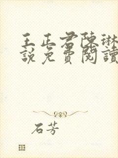 王正君陈琳洁小说免费阅读全文封面