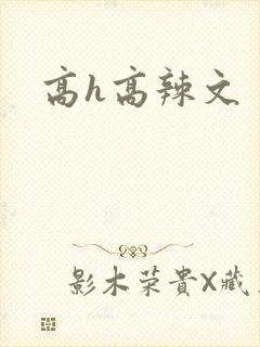 高h高辣文封面