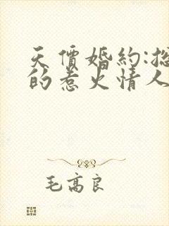 天价婚约:总裁的惹火情人小说完整免费封面