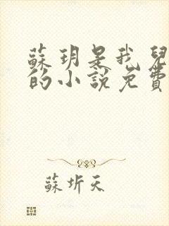 苏玥是我儿媳妇的小说免费阅读