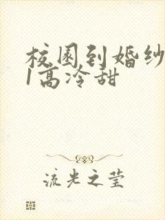 校园到婚纱1V1高冷甜