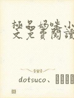 极品妈咪小说全文免费阅读封面