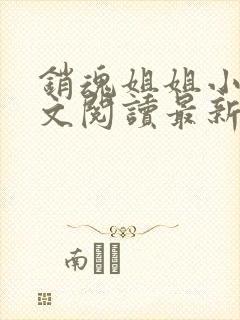 销魂姐姐小说全文阅读最新章节列表