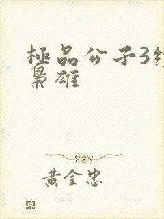 极品公子3续世枭雄
