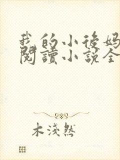 我的小后妈免费阅读小说全文封面