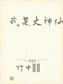 我是大神仙小说