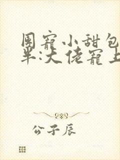 团宠小甜包三岁半:大佬宠上天小说