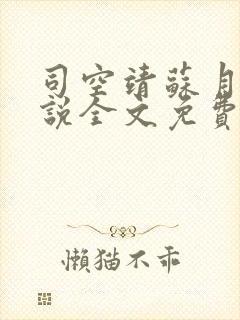 司空靖苏月汐小说全文免费阅读最新章节封面